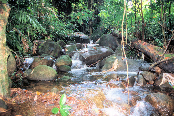 Seychellen 1999-033.jpg